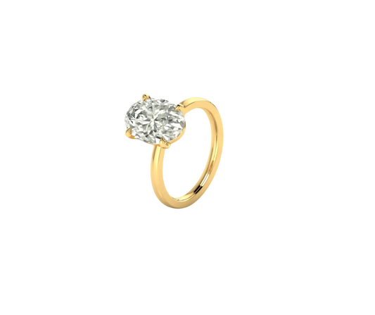 Hailey Bieber Engagement Ring
