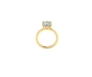 Hailey Bieber Engagement Ring