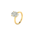 Hailey Bieber Engagement Ring