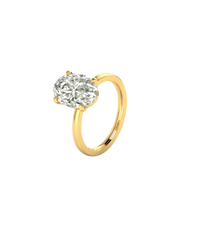 Hailey Bieber Engagement Ring