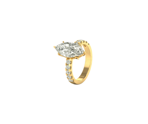 Selena Gomez Engagement Ring