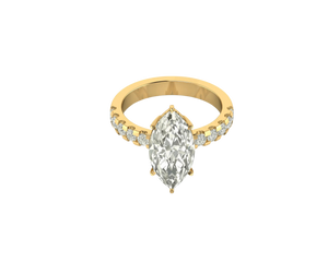 Selena Gomez Engagement Ring